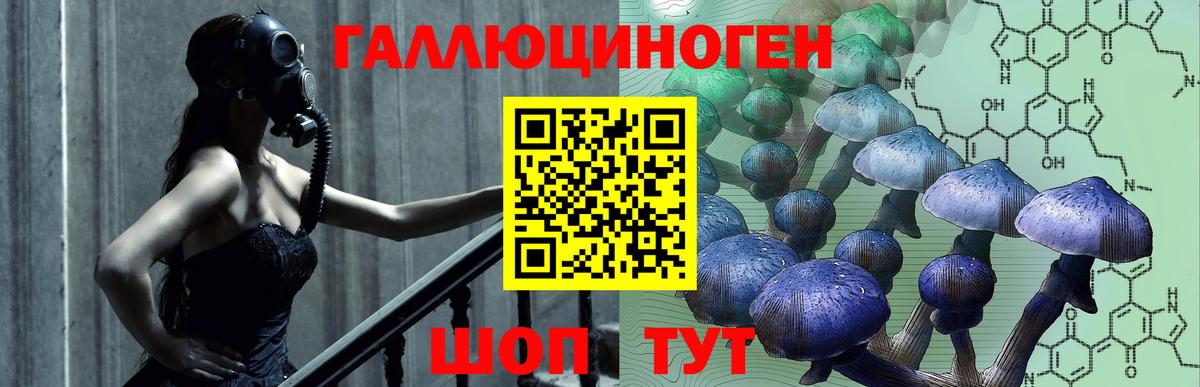 Троицк  Галлюциногенные грибы Magic Shrooms  Вход с VPN 